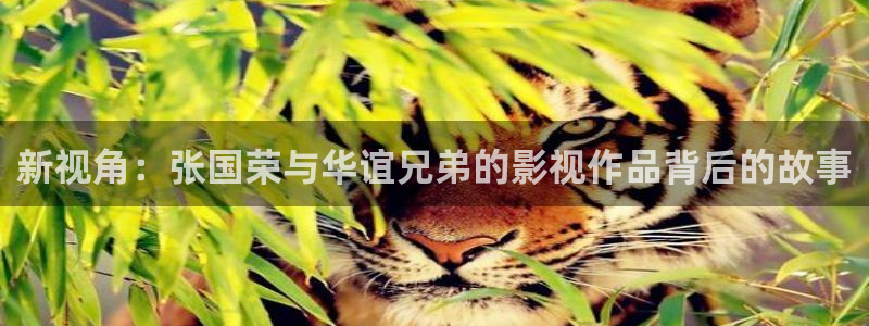 8848青苹果影院